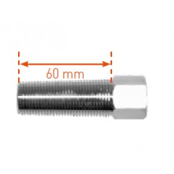 Cône à visser lg. 60 mm - femelle GAS 1/2”-316